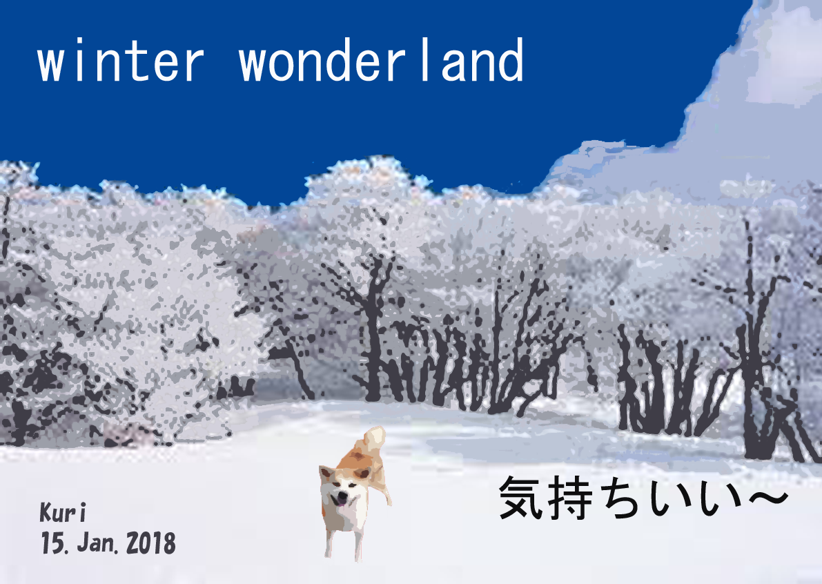 雪景色５winter wonderland くり2