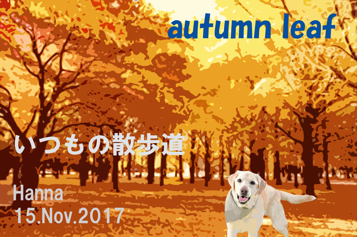 紅葉１autumn leaf 　Hanna