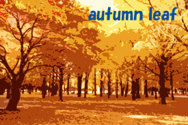 紅葉１autumn leaf （背景）