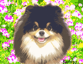 ポストカードkuropy