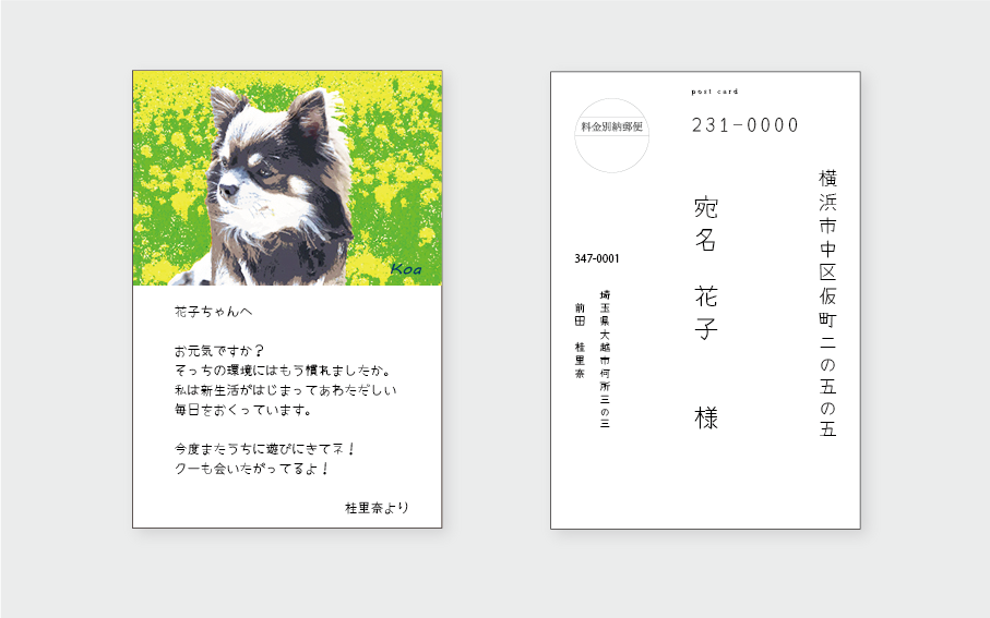 片面半面